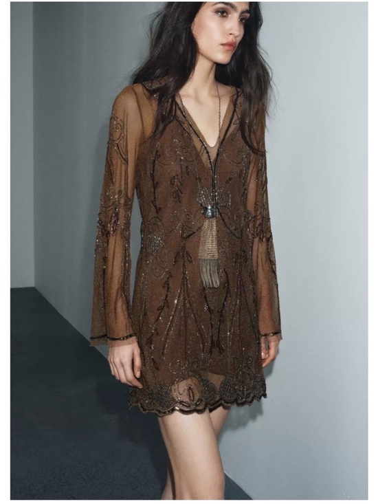 Zara Dresses & Skirts - Zara Brown Beaded V-Neck Sheer-Sleeve Mini Dress